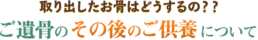 取り出したお骨はどうするの？？ご遺骨のその後のご供養について