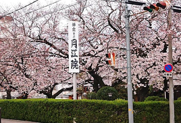 住吉区で葬儀・葬式・家族葬をお探しなら家族葬 メモリーハウス 月江院会館の外観画像