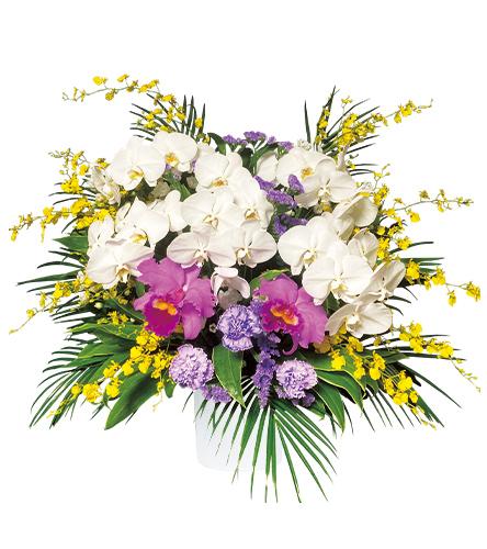 供花 30,000円 （税込33,000円）