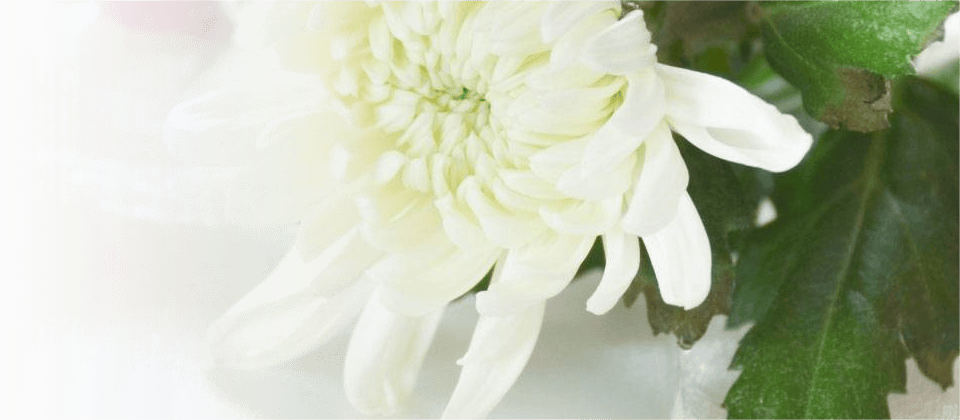 供花のご注文