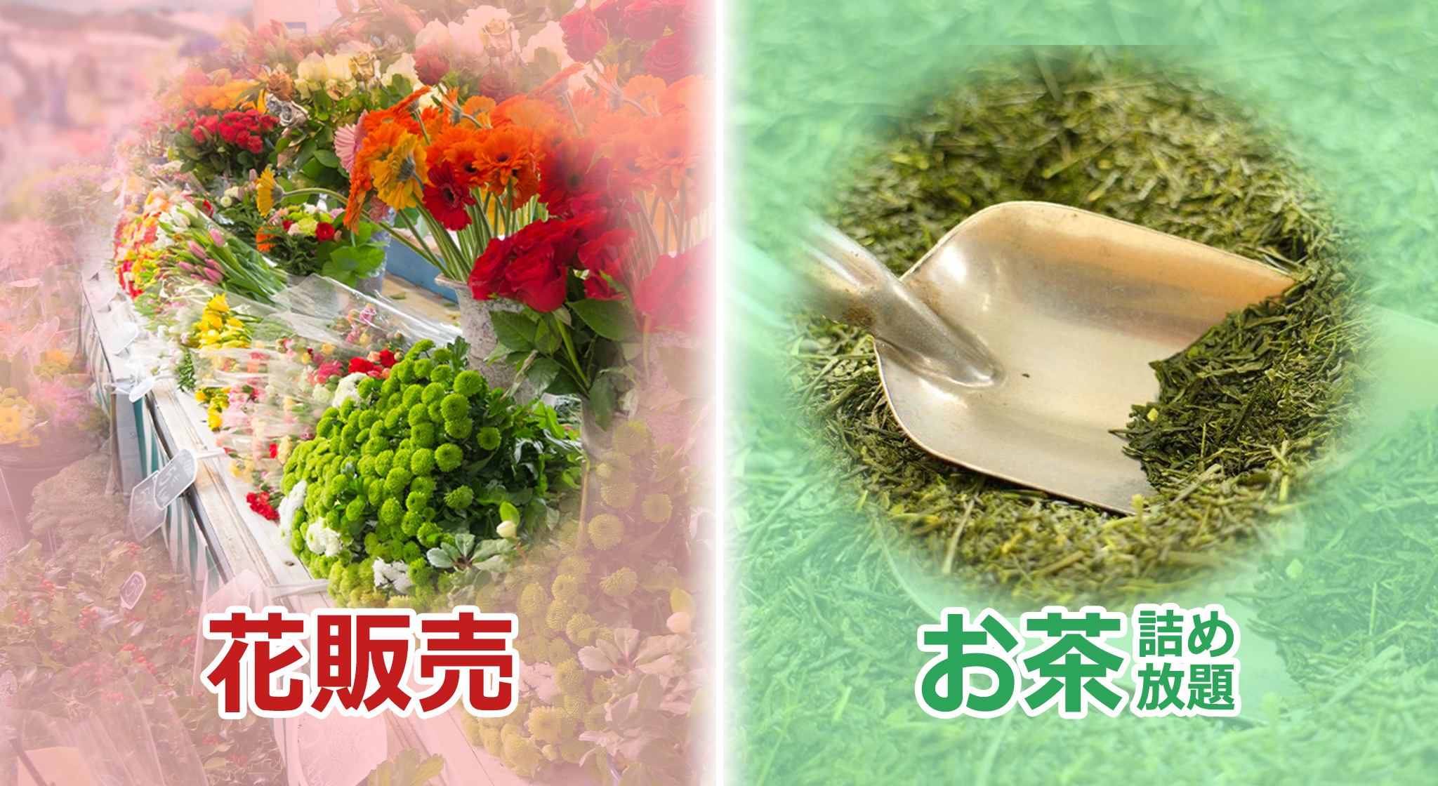 山形・宮城で葬儀を行うなら家族葬の仙和へ