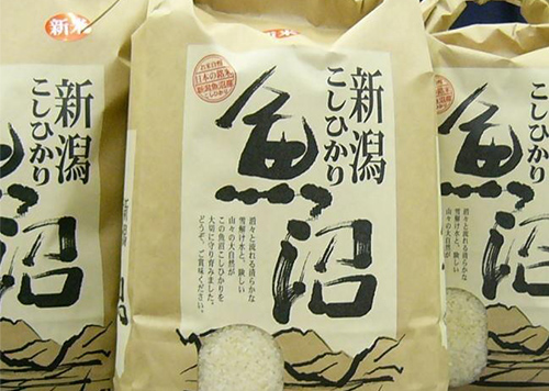 魚沼産こしひかりイメージ