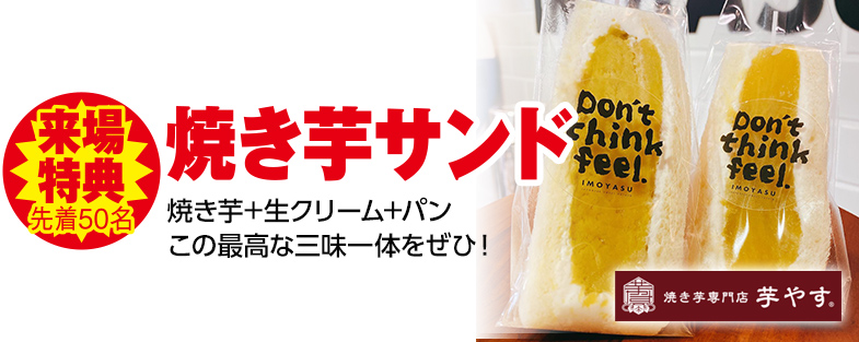 土浦市で葬儀をご検討なら小さな森の家へ