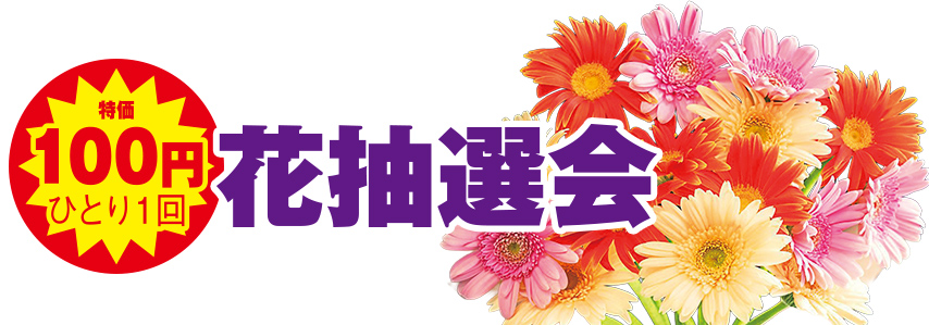 習志野市で葬儀をご検討なら小さな森の家へ