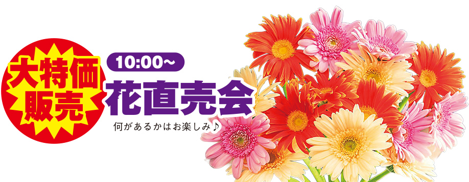越谷市で葬儀を検討されるなら小さな森の家へ