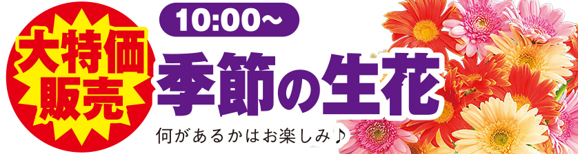 野々市市で葬儀をご検討なら家族葬のゆうかへ