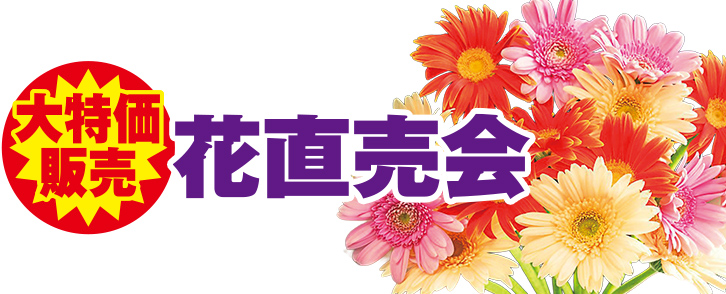 流山市で葬儀をご検討なら小さな森の家へ