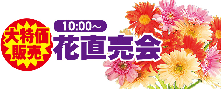 取手市で葬儀をご検討なら小さな森の家へ