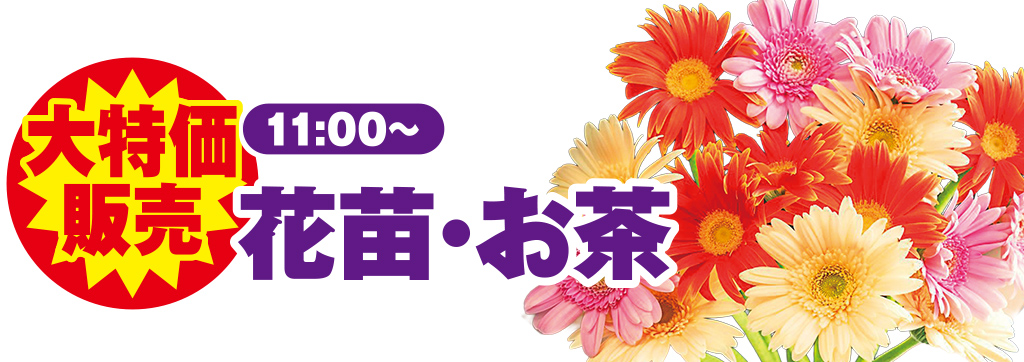 美浦村で葬儀をご検討なら小さな森の家へ