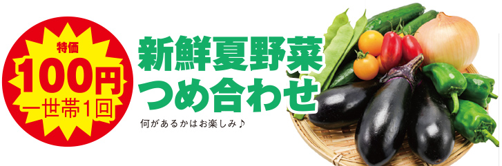 大和市で葬儀をご検討なら小さな森の家へ