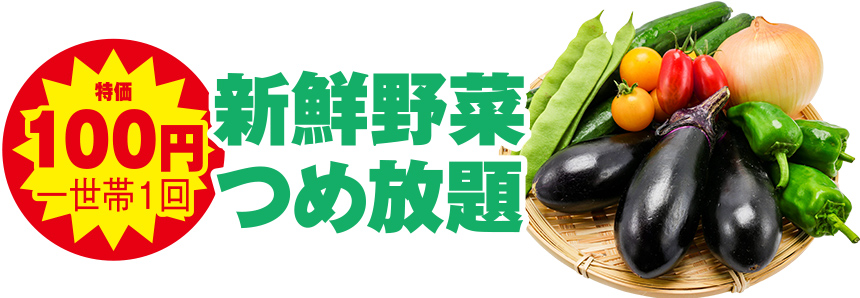 松戸市で葬儀をご検討なら小さな森の家へ