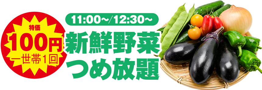 葛飾区で葬儀をご検討なら小さな森の家へ!感謝祭イベント開催!