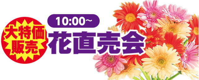 葛飾区で葬儀をご検討なら小さな森の家へ!感謝祭イベント開催!