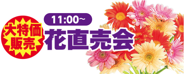 新宿区で葬儀をご検討なら小さな森の家 落合斎場へ