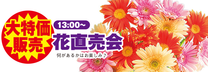 さいたま市で葬儀をご検討されているなら小さな森の家へ!感謝祭開催