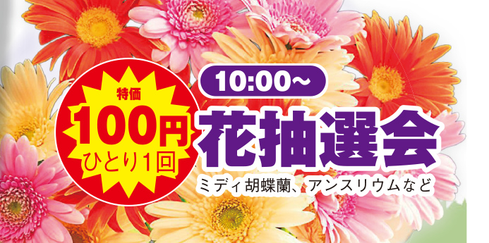 習志野市で葬儀をご検討なら小さな森の家へ!2周年記念「感謝祭」開催!