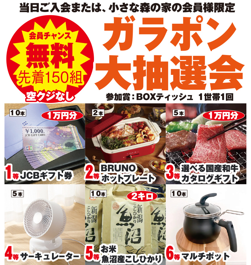 大和市の小さな森の家にて夏祭り開催！みんな遊びにおいで！