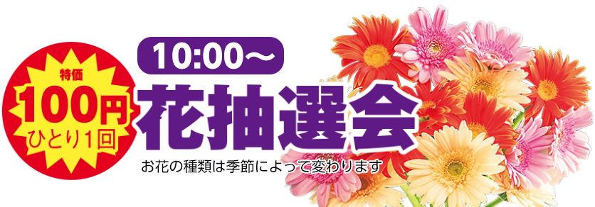 船橋市で葬儀をご検討なら小さな森の家へ