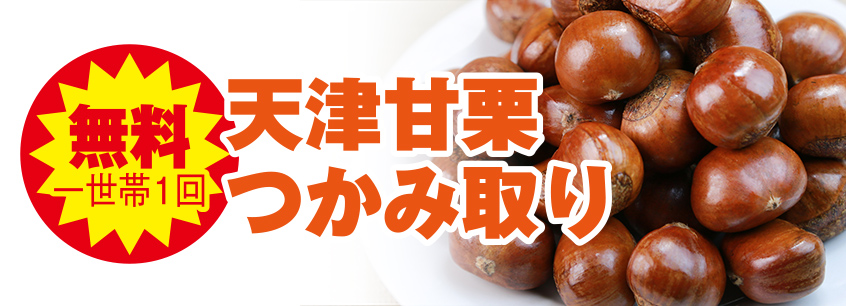高松市で葬儀を検討されているなら家族葬のカナクラオールストーンへご相談ください
