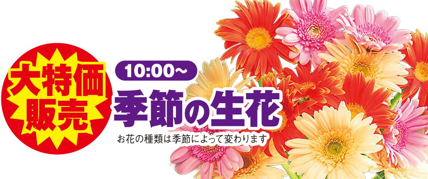 野々市市で葬儀をご検討なら家族葬のゆうかへ