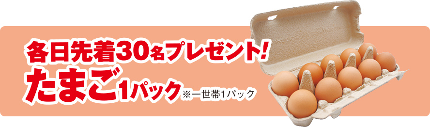 中野区で葬儀相談をするのなら小さな森の家へ