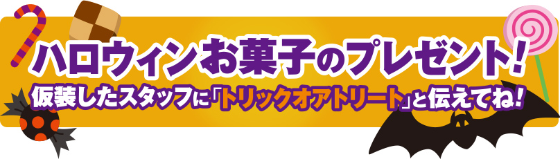 横浜市で葬儀をご検討ならおちかくの小さな森の家へお気軽にご相談ください