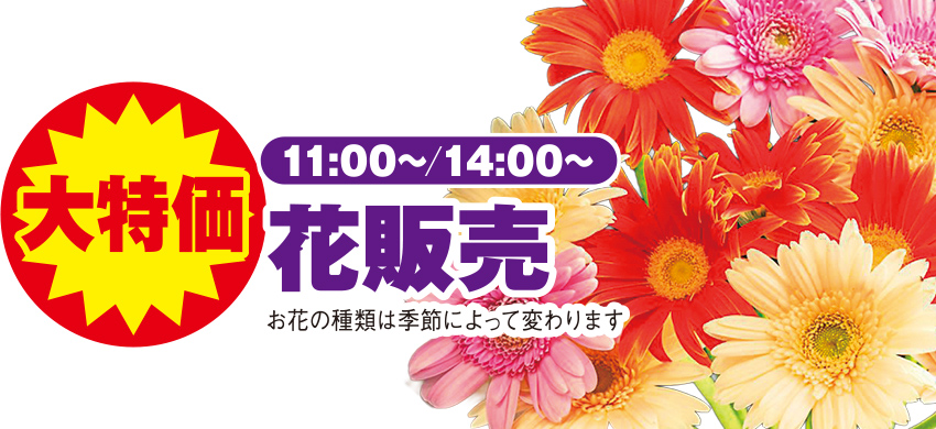 石巻市で葬儀をご検討なら家族葬の仙和へ