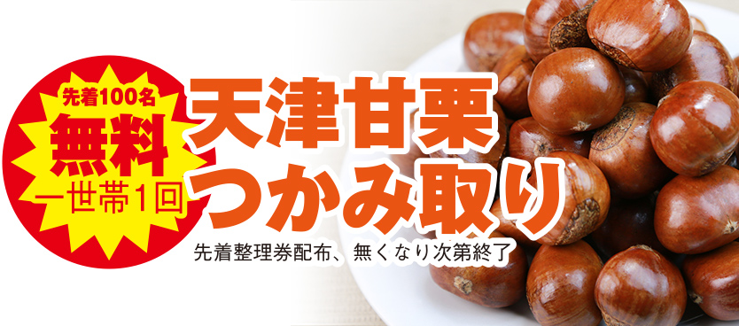 高松市で葬儀・家族葬を検討されているなら家族葬のカナクラオールストーンへ