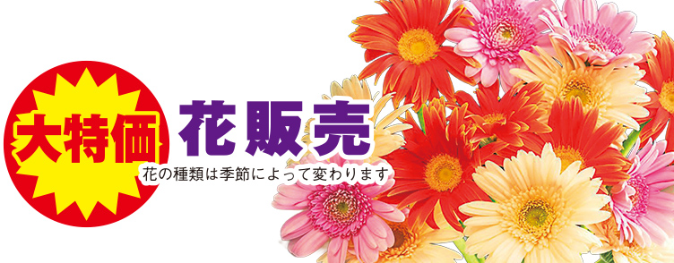 岡山市で葬儀・家族葬をご検討なら家族葬のカナクラオールストーンへ！お気軽にご相談ください。