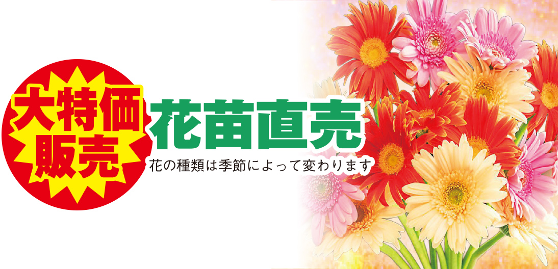 大阪市平野区で葬儀をご検討なら家族葬メモリーハウスへ
