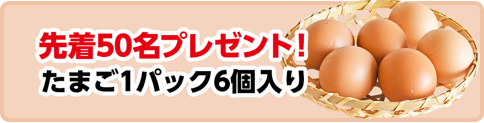 広島市阿佐南区で葬儀をご検討ならあおばメモリアルへ