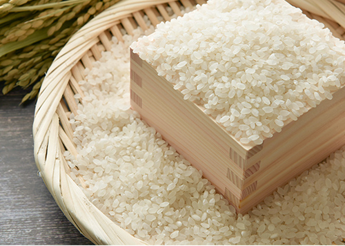 おいしいお米 特選米5kgイメージ