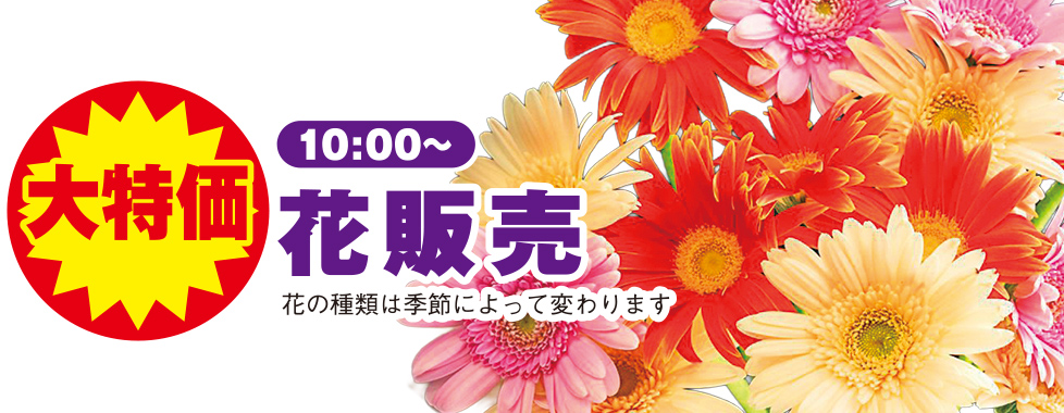 広島市で葬儀をご検討ならあおばメモリアルへ
