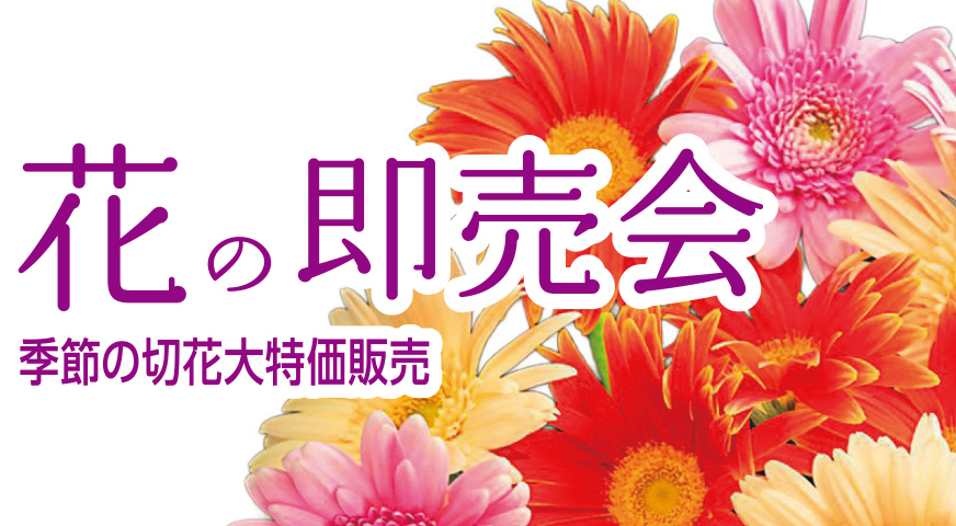 金沢市で葬儀・家族葬をご検討なら家族葬のゆうかへ