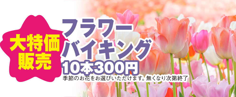 坂出市で葬儀・家族葬をご検討なら家族葬のカナクラオールストーン坂出へ！みなさまのおかげで1周年