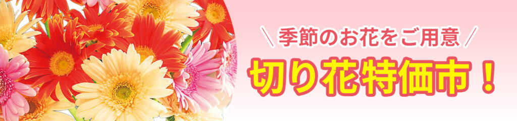 季節のお花をご用意！切り花特価市