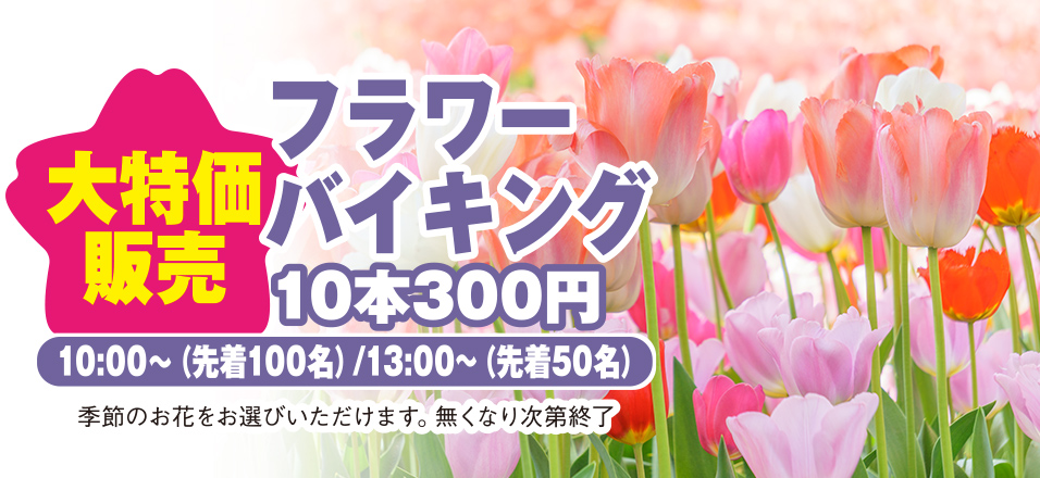 高松市で葬儀・家族葬をご検討なら家族葬のカナクラオールストーンへ