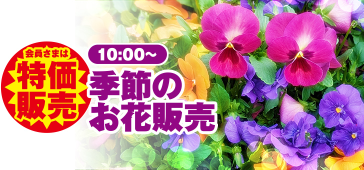 石巻市で葬儀・家族葬をご検討なら家族葬の仙和へ！イベント開催！