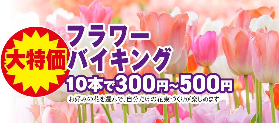 広島市で葬儀・家族葬をご検討ならあおばメモリアルへ！イベント開催