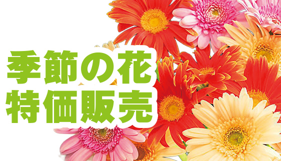 和歌山市で葬儀・家族葬をご検討なら家族葬メモリーハウスへ