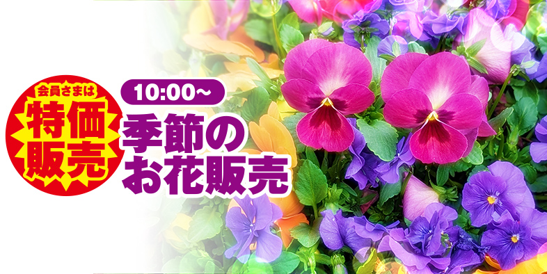 石巻市で葬儀・家族葬をご検討なら家族葬の仙和へ！