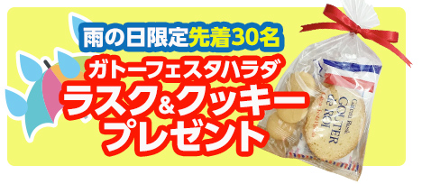 横浜市で葬儀・家族葬をご検討ならラステル新横浜へ！イベント開催
