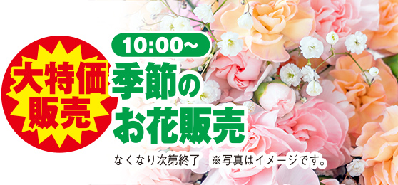 石巻市で葬儀・家族葬をご検討なら家族葬の仙和 石巻あけぼのへ