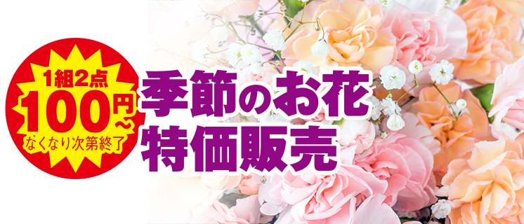 葬儀をご検討なら家族葬の仙和へ！イベント開催中