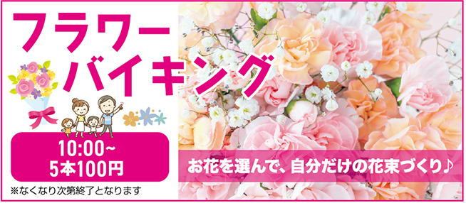 柏市で葬儀・家族葬をご検討ならちいさな森の家柏南増尾へ