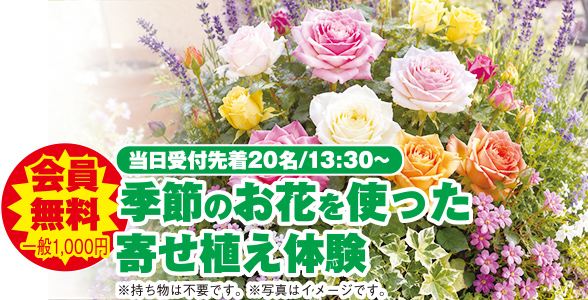 仙台市で葬儀・家族葬を行うなら家族葬の仙和 仙台柳生へ!5周年記念イベント開催