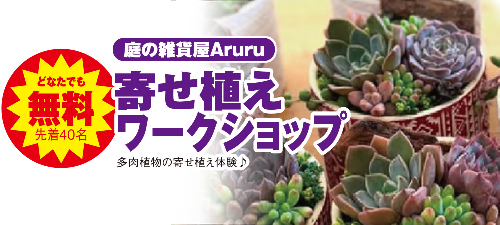 和歌山市で葬儀・家族葬をご検討なら家族葬メモリーハウスへ