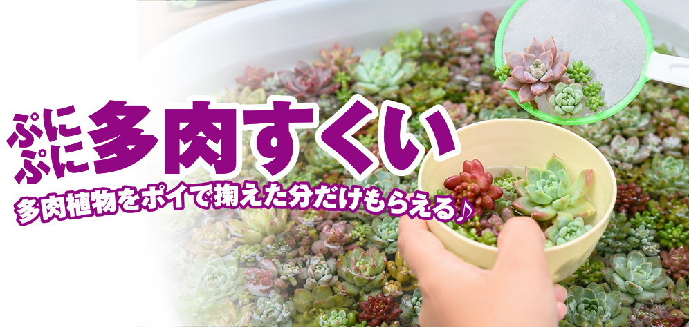 和歌山市で葬儀・家族葬をご検討なら家族葬メモリーハウスへ