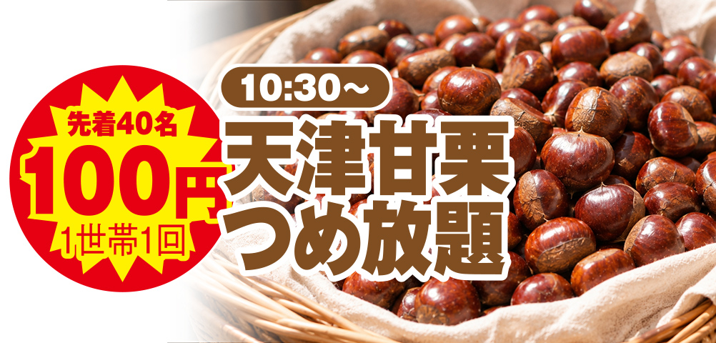平塚市で葬儀・家族葬をご検討なら小さな森の家へ