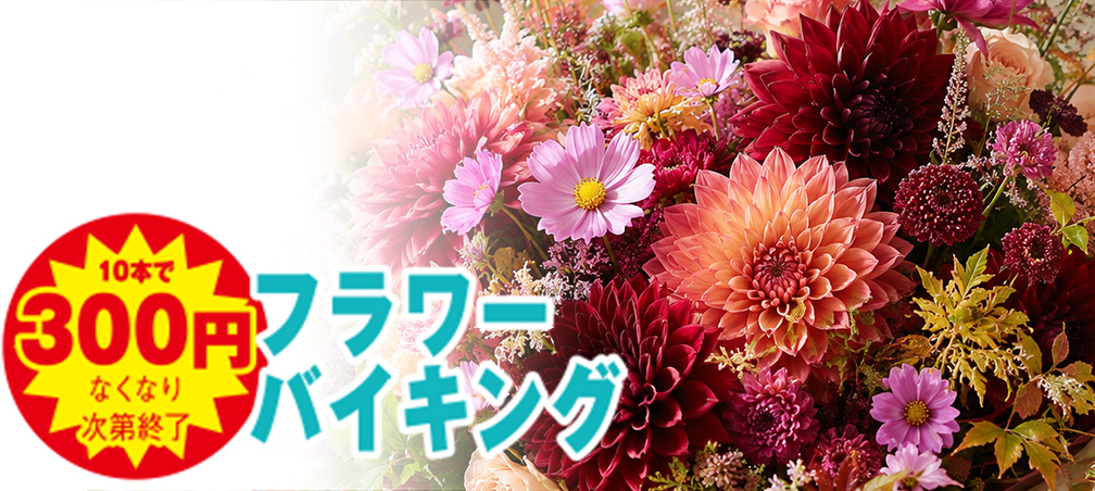 広島市で葬儀を行うならあおばメモリアルへ